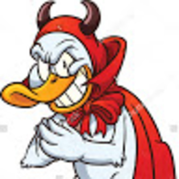 Meet your Posher, Collin - Picture 1 of 1